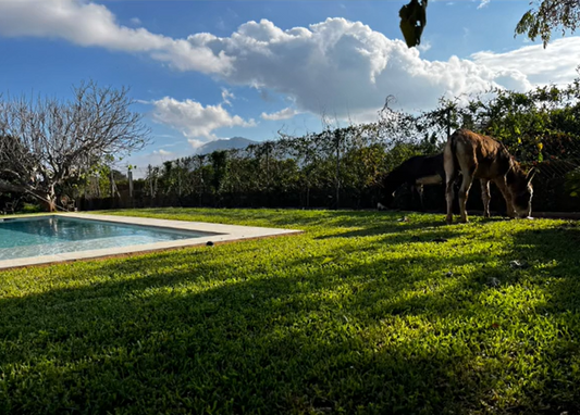 ¿Tienes Piscina en tu casa o en tu comunidad?